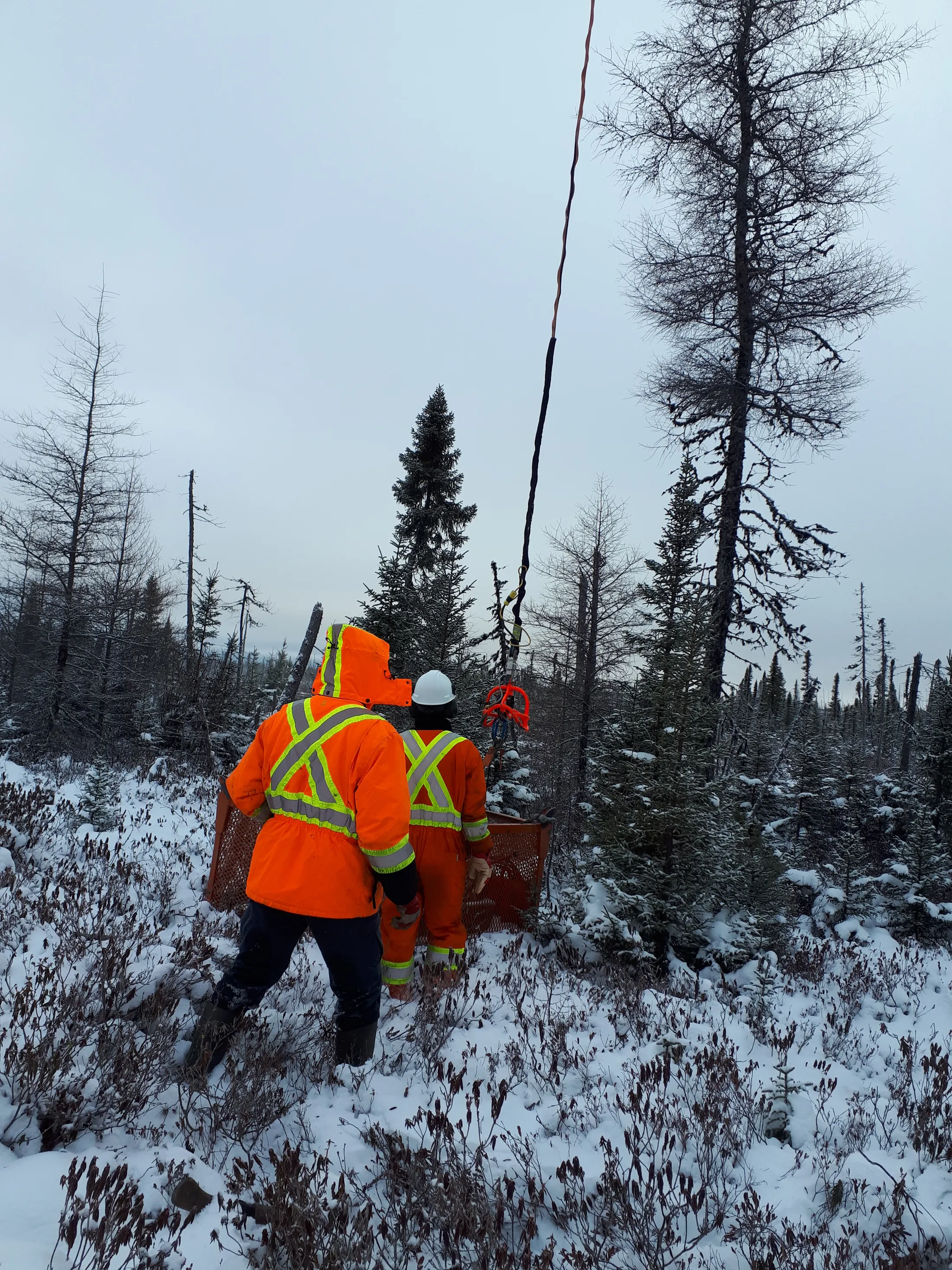 Two exploration workers in orange hi-vis in a snowy spruce forest by a drill line.