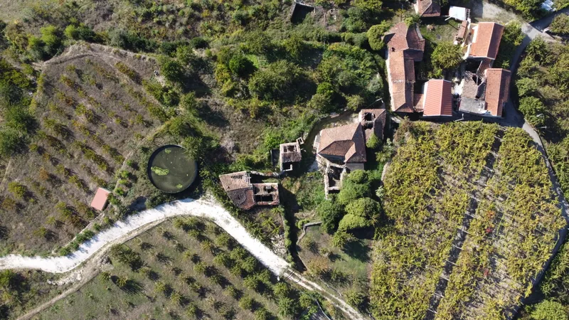 Top-down drone photo of terraced vineyards and old farm buildings.