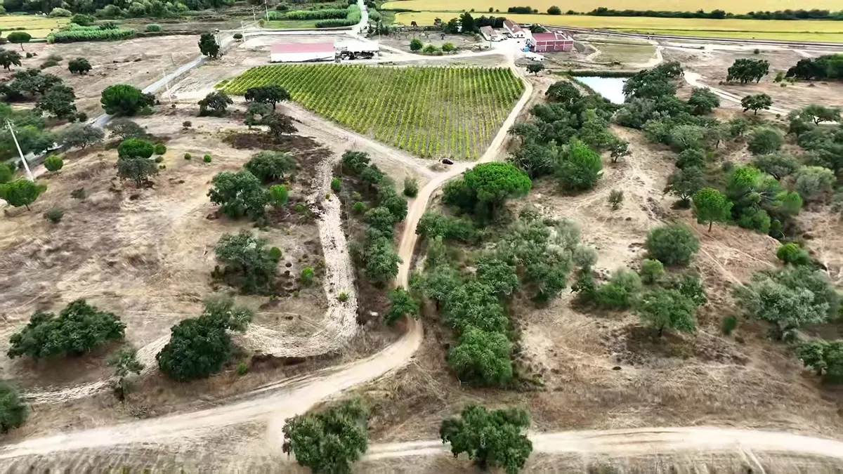 Drone view of a vineyard among scrub, trees and dirt tracks.