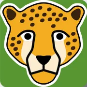 Raster Optimiser logo: a cheetah's face on a green square.